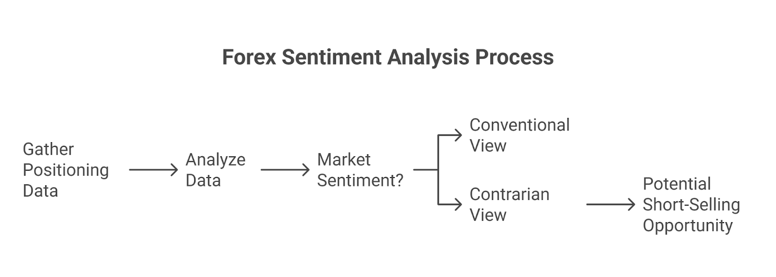 How Forex Sentiment Analysis Works