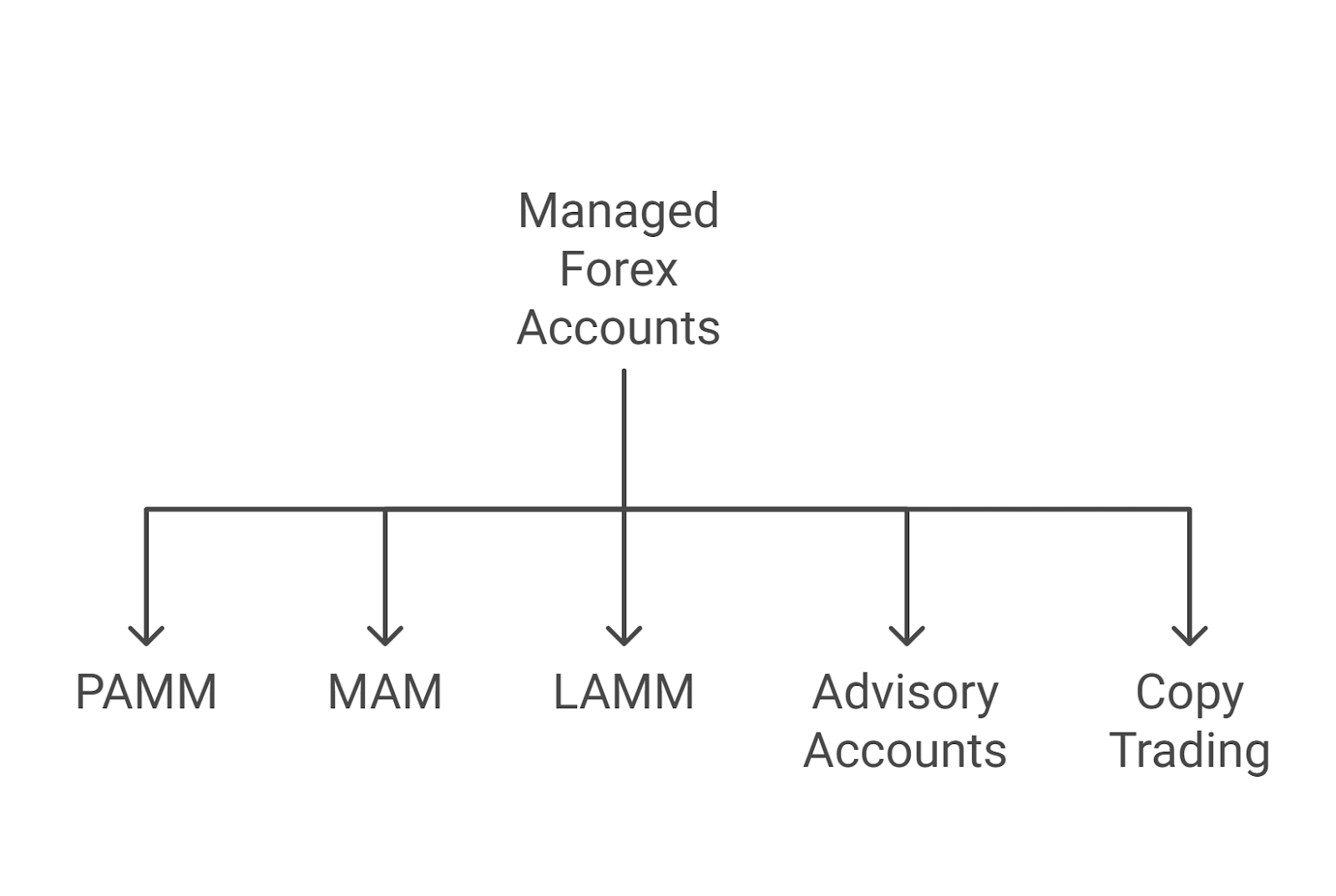 Types of Managed Forex Accounts