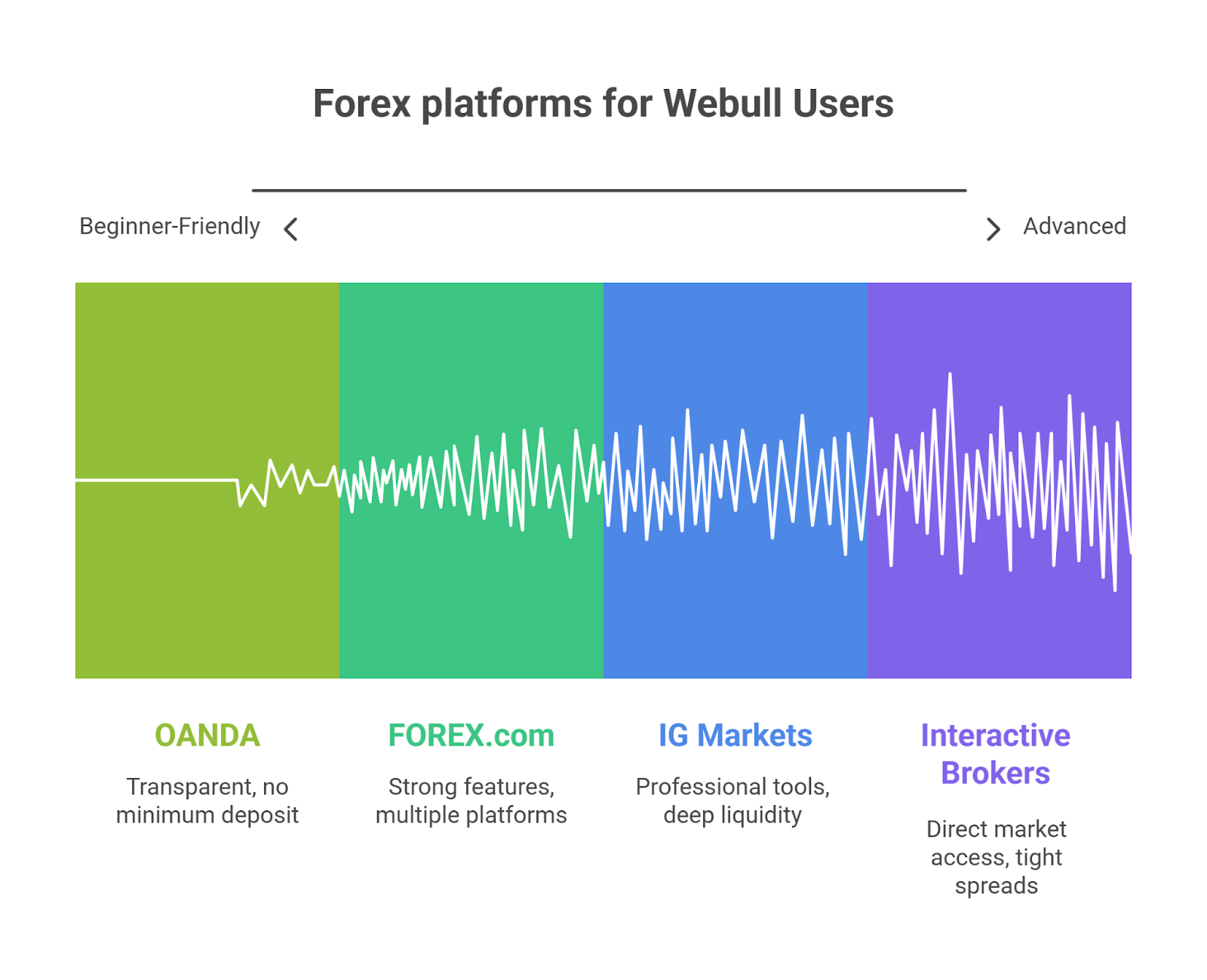 Best Forex Trading Platforms for Webull Users