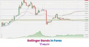 Bollinger Bands in Forex