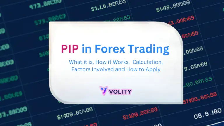 Qu'est-ce qu'un Pip sur le Forex ? Comment calculer facilement la valeur d'un Pip