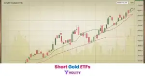 What are Short Gold ETFs
