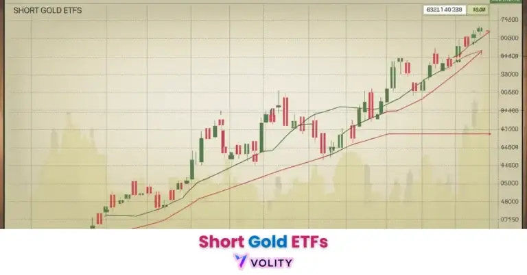 Was sind Short Gold ETFs