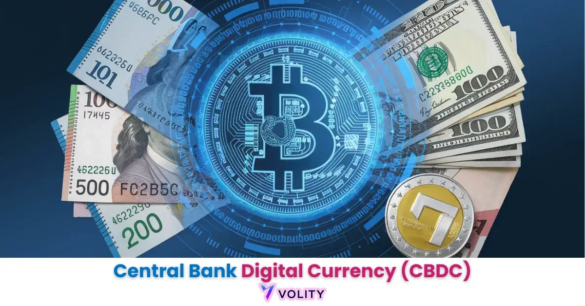 Central Bank Digital Currency