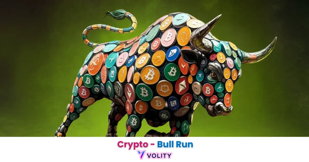 crypto bull run