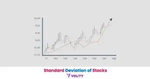 Standard Deviation of Stocks