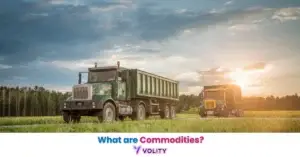 What are Commodities