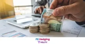 FX Hedging