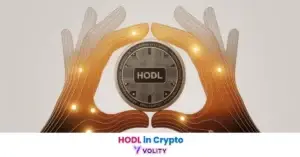 hodl in crypto