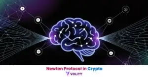Newton Protocol