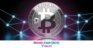 bitcoin cash crypto