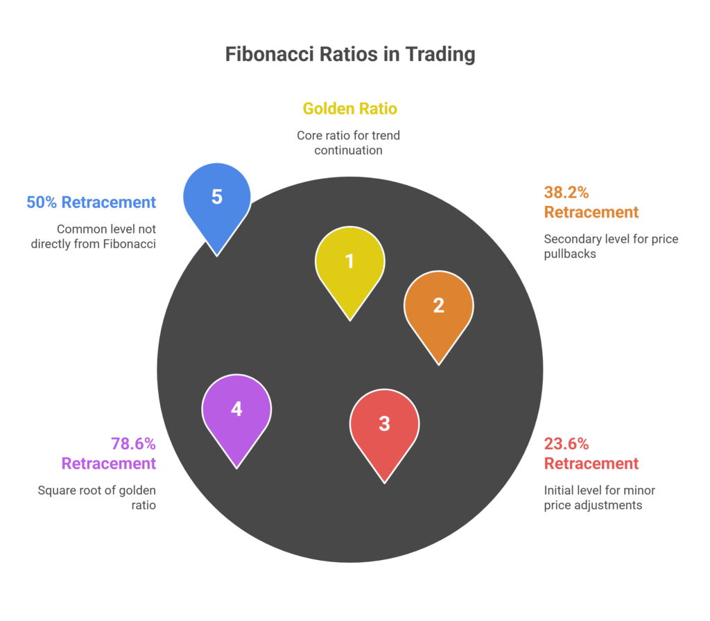 How Does The Fibonacci Sequence Work?