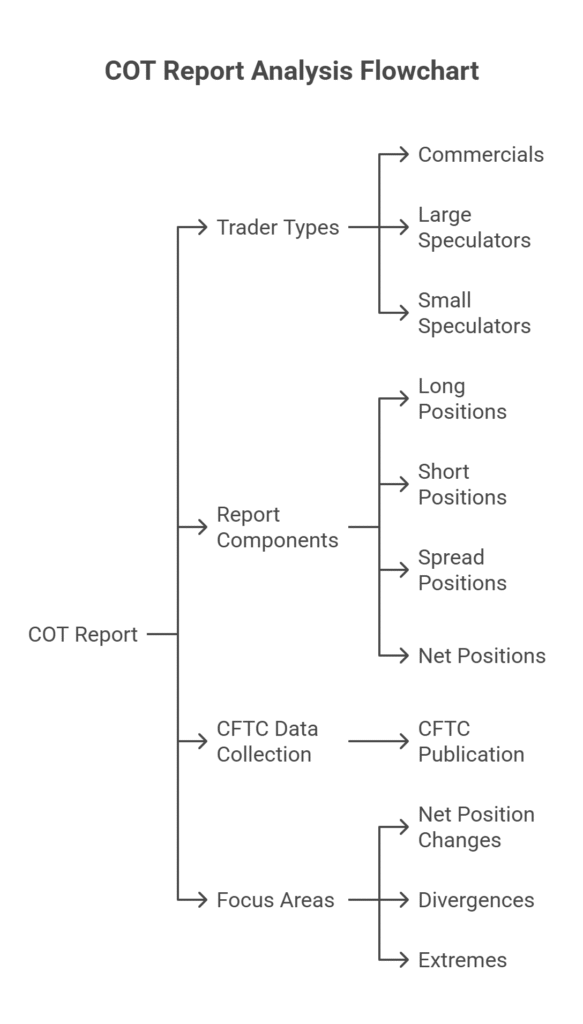How to Read a COT Report