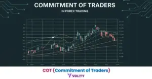 COT—Commitment of Traders