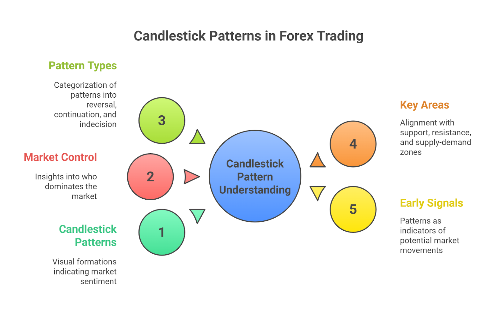 Candlestick Patterns in Forex Trading Infographic