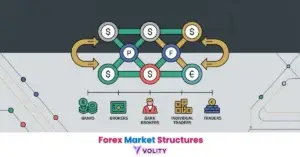 What are forex market structures