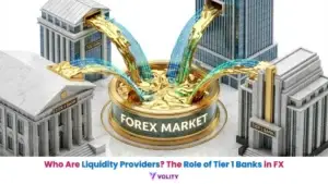Who Are Liquidity Providers