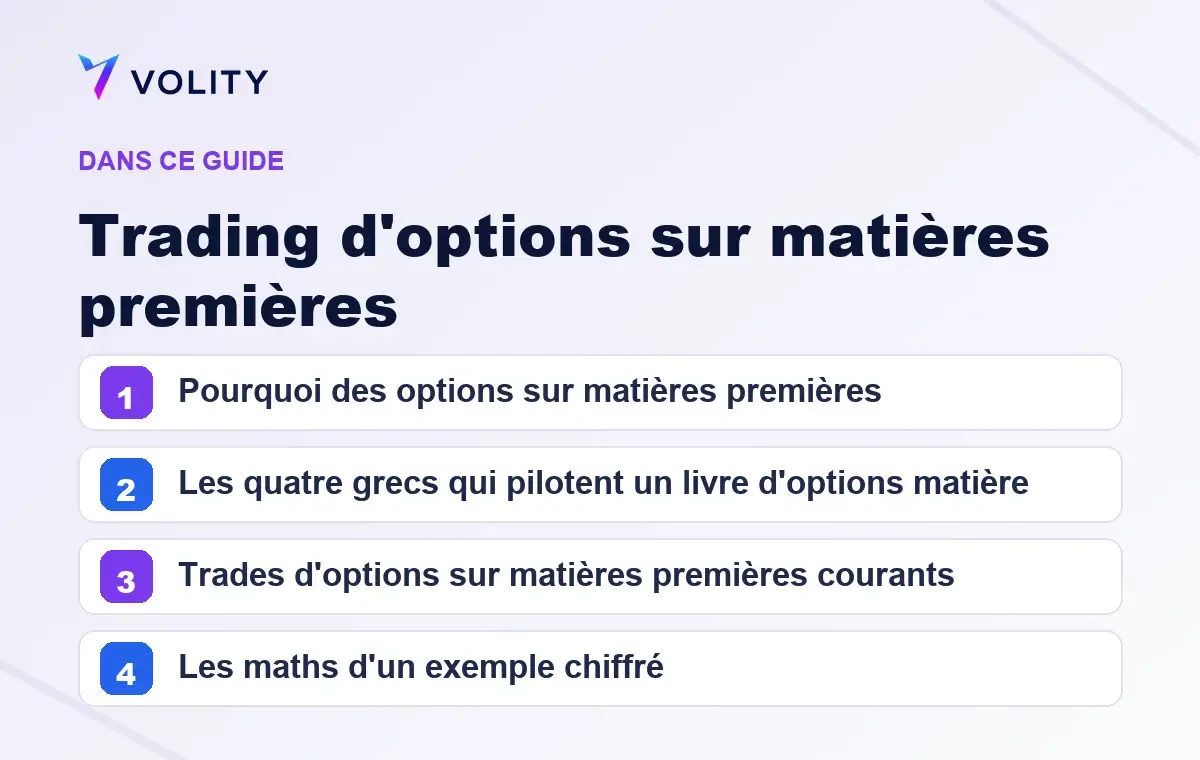Sections clés de ce guide Volity sur Trading d'options sur matières premières