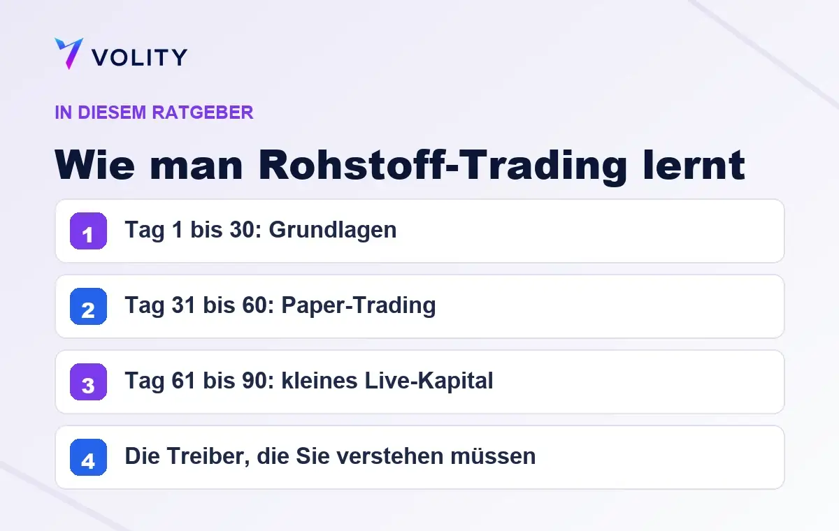 Wichtige Abschnitte in diesem Volity-Ratgeber zu Wie man Rohstoff-Trading lernt