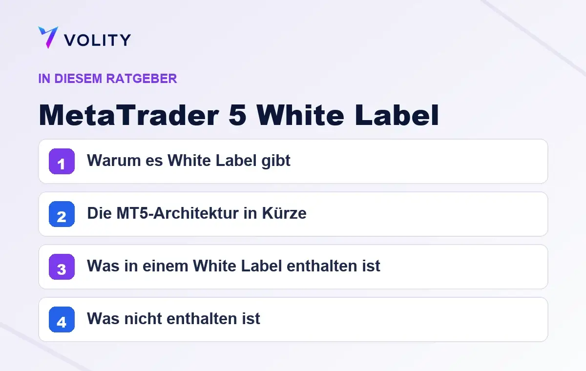 Wichtige Abschnitte in diesem Volity-Ratgeber zu MetaTrader 5 White Label
