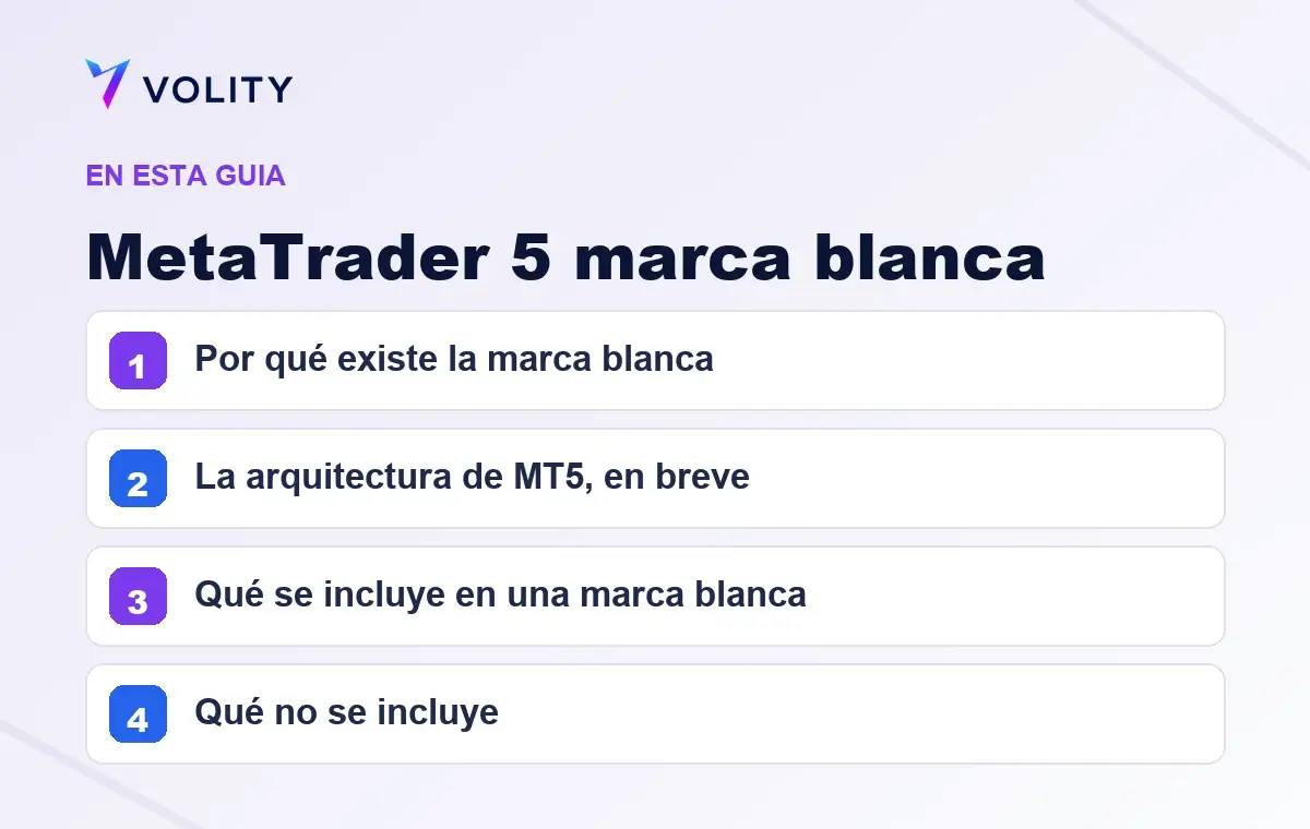 Secciones clave de esta guía de Volity sobre MetaTrader 5 marca blanca