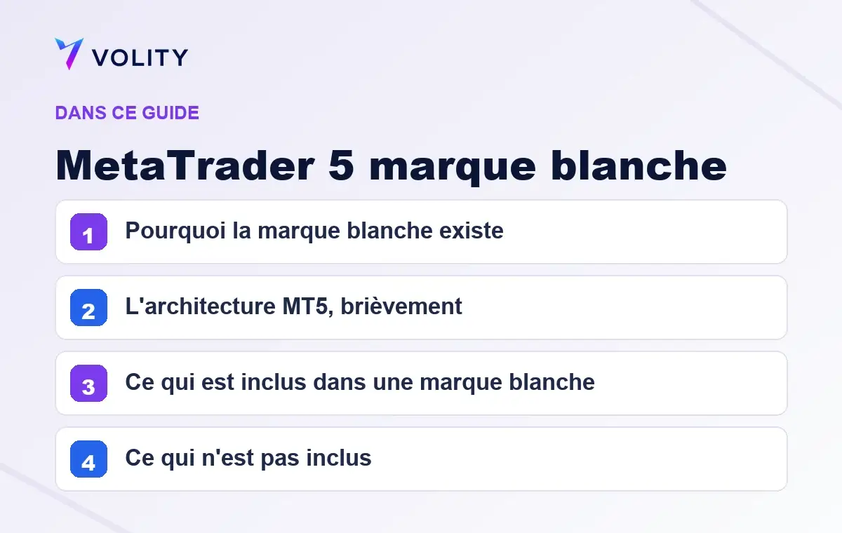 Sections clés de ce guide Volity sur MetaTrader 5 marque blanche