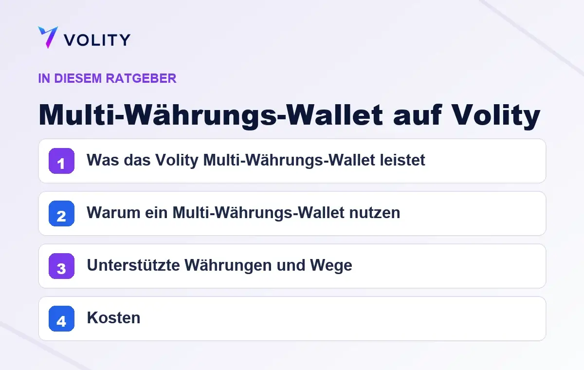 Wichtige Abschnitte in diesem Volity-Ratgeber zu Multi-Währungs-Wallet auf Volity