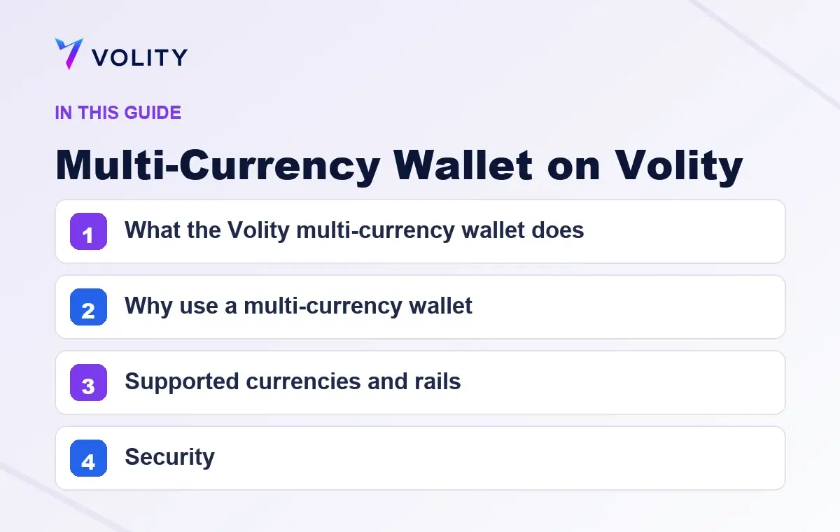 Key sections covered in this Volity guide to Multi-Currency Wallet on Volity