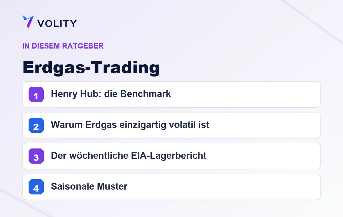 Wichtige Abschnitte in diesem Volity-Ratgeber zu Erdgas-Trading