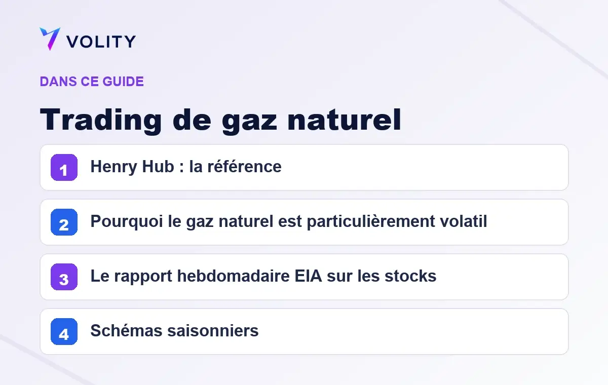 Sections clés de ce guide Volity sur Trading de gaz naturel