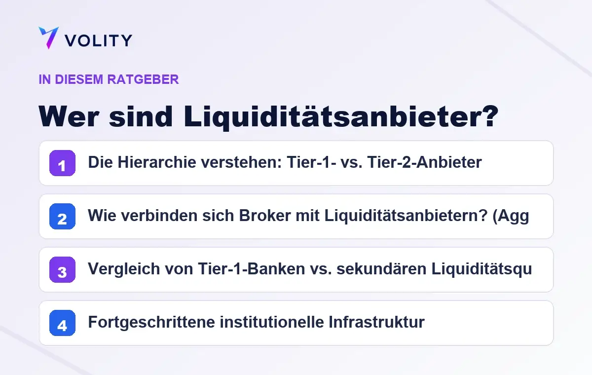 Wichtige Abschnitte in diesem Volity-Ratgeber zu Wer sind Liquiditätsanbieter?