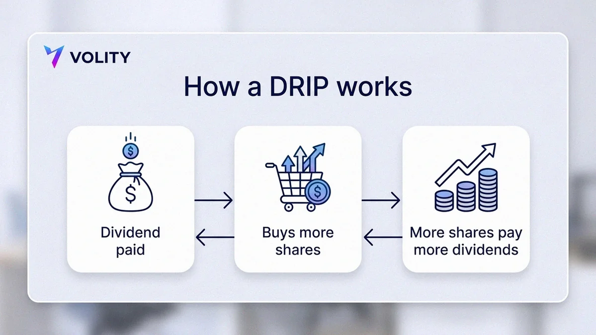 Diagram of a dividend payout looping back to buy more shares instead of paying out as cash