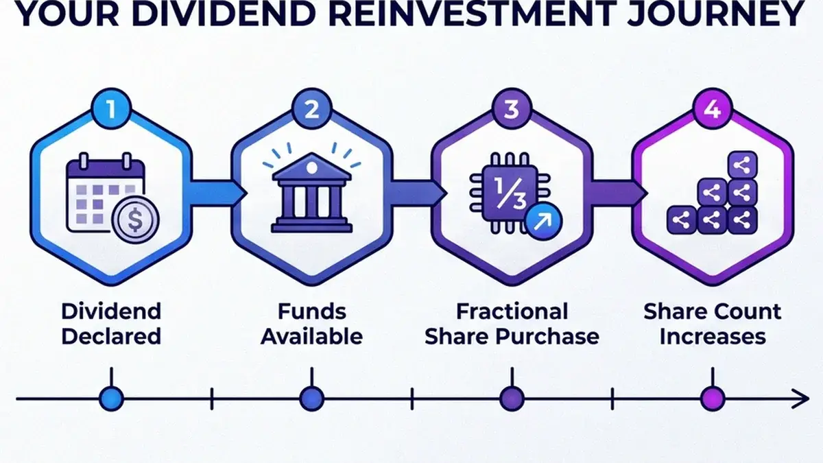 Step sequence showing a dividend declared, paid, then reinvested into fractional shares of the same holding