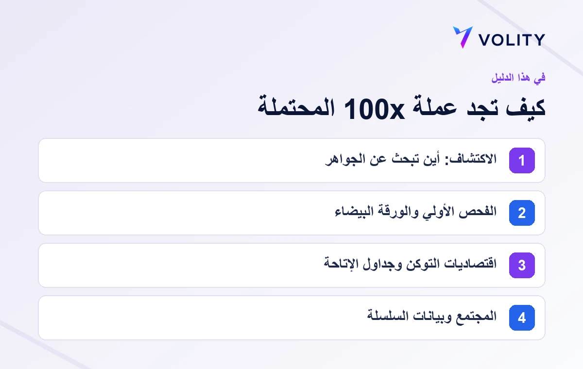 إطار من خطوات للبحث عن عملة 100x محتملة