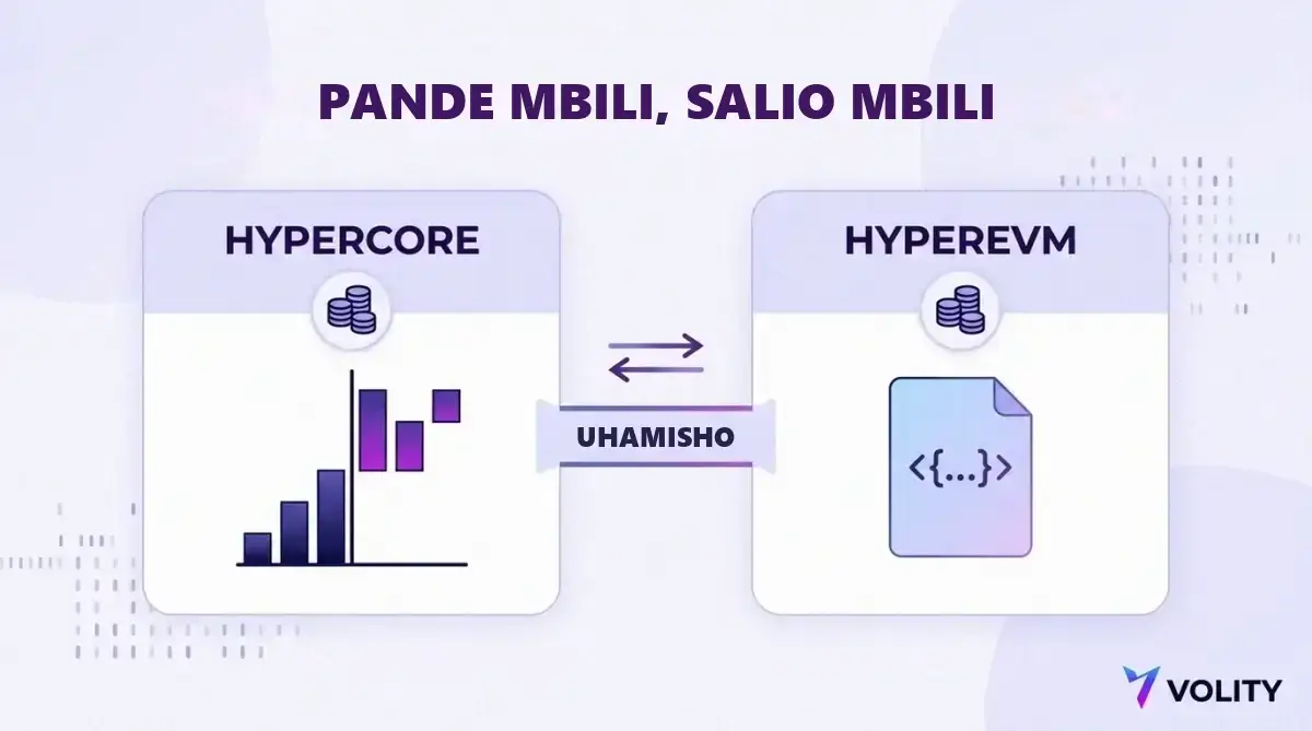 Mchoro wa HyperCore ikishikilia order book na HyperEVM ikishikilia smart contracts, kila moja na salio lake, zikiunganishwa na hatua ya uhamisho