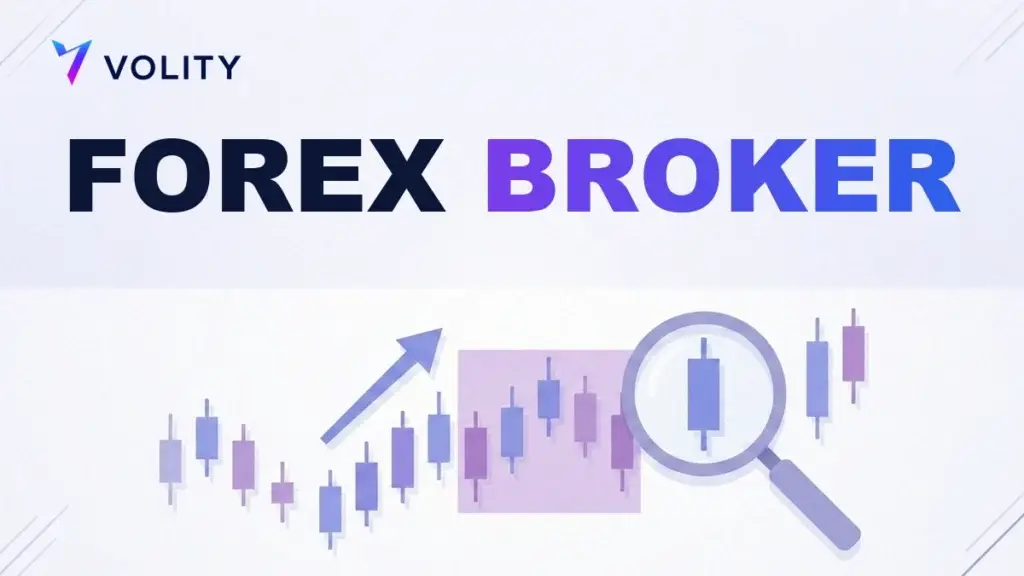 Forex Broker: So wählen Sie einen aus