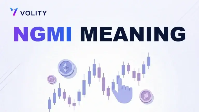 NGMI MEANING