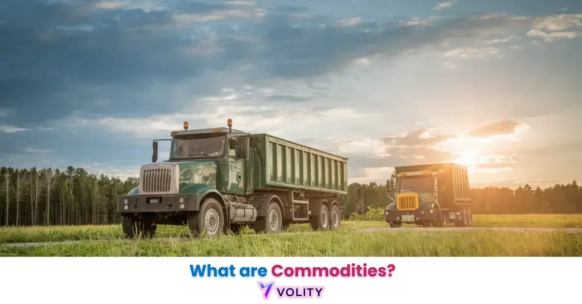 What are Commodities
